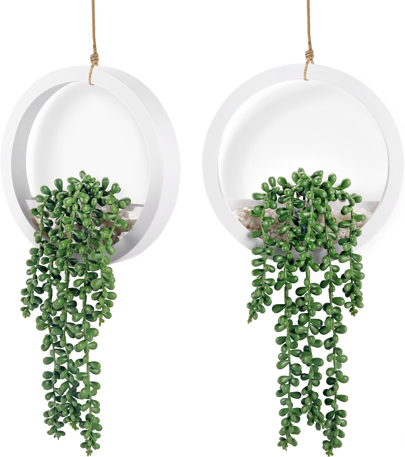 Hanging Succulent